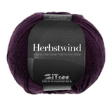 HERBSTWIND - 22