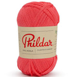 PHIL KOALA - Rose blush