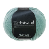 HERBSTWIND - 27