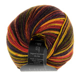 HIGH TWIST - 7 (color)