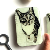 Aufbewahrungsdose – Katze