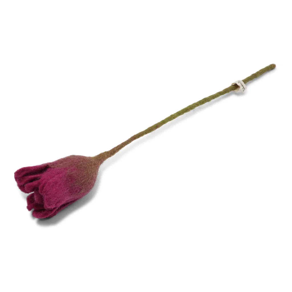 Filz-Tulpe