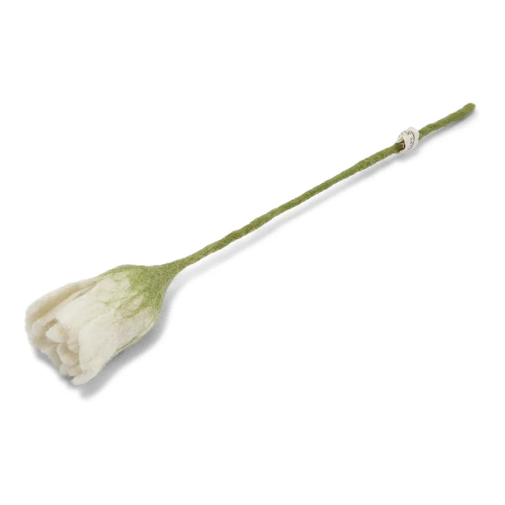 Filz-Tulpe