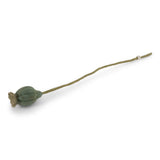 Filz-Mohnkapsel „Poppy Seed Head“