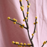 Filz-Zweig mit Beeren