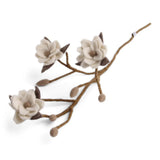 Filz-Magnolienzweig