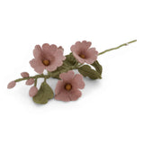 Filz-Malve (Hollyhock)