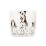 Fine-Bone Porzellan Tasse „morning assembly