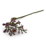 wisteria / dark purple