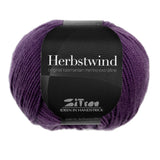 HERBSTWIND - 11