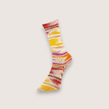 Summer Socks Fancy - 120