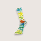 Summer Socks Fancy - 150
