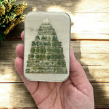 Aufbewahrungsdose – nature meets nostalgia