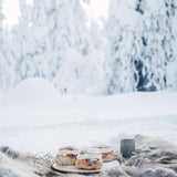 Nordic Winter Cookbook