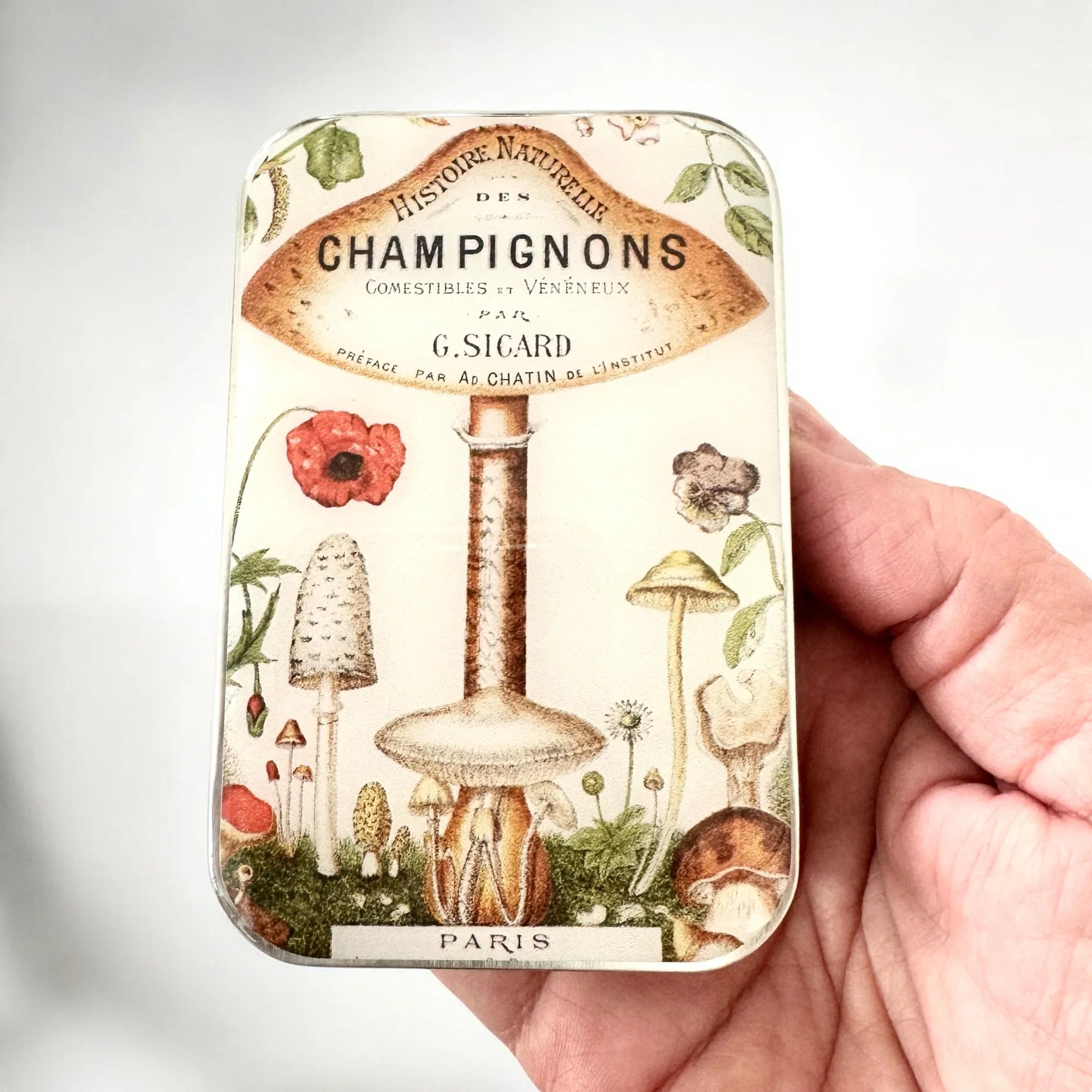 Firefly Notes Aufbewahrungsdose aus Blech mit Vintage-Pilzbuch-Motiv „Champignons“, verschiedenen Pilzen, Mohnblüte und Wiesenblumen
