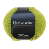 HERBSTWIND - 29
