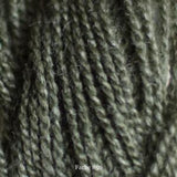 WILD & SOFT - 850 bald