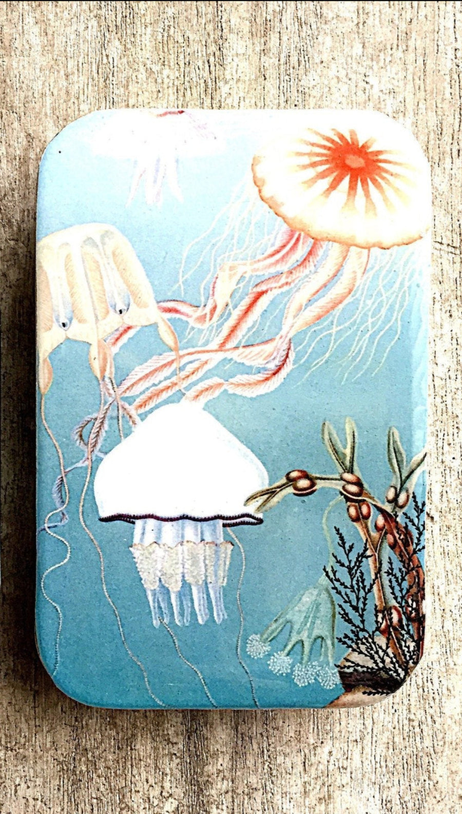 Aufbewahrungsdose – Jellyfish